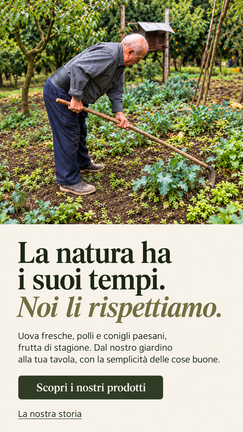 Il nonno della famiglia Campanile al lavoro nell’orto